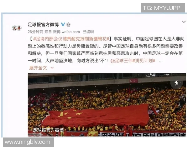 中国各省体育明星数量及影响力排名分析与探讨