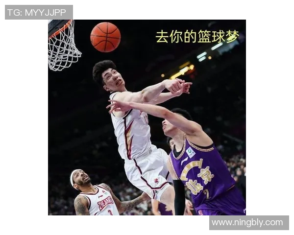 篮球明星家的猫咪也爱打球展现萌趣篮球梦的奇妙旅程